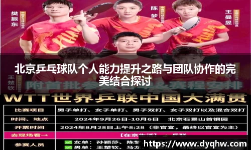 北京乒乓球队个人能力提升之路与团队协作的完美结合探讨